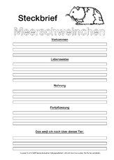 Meerschweinchen-Steckbriefvorlage-sw.pdf